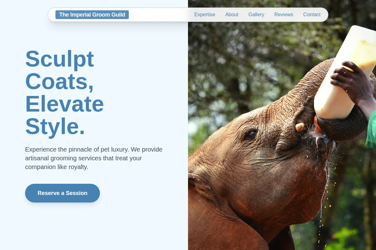 Primped Animal Care
